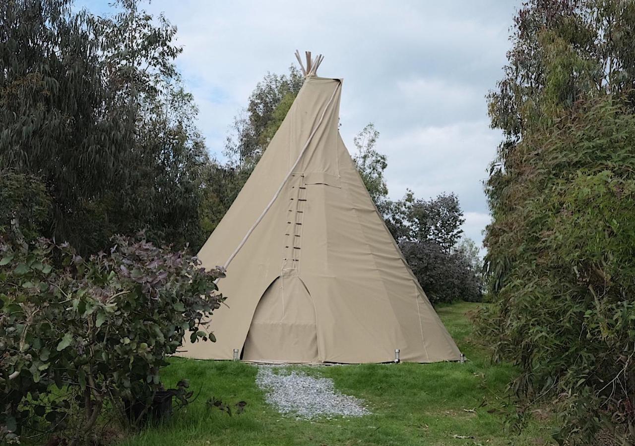 Готель Gumtree Tipis Bickington Екстер'єр фото