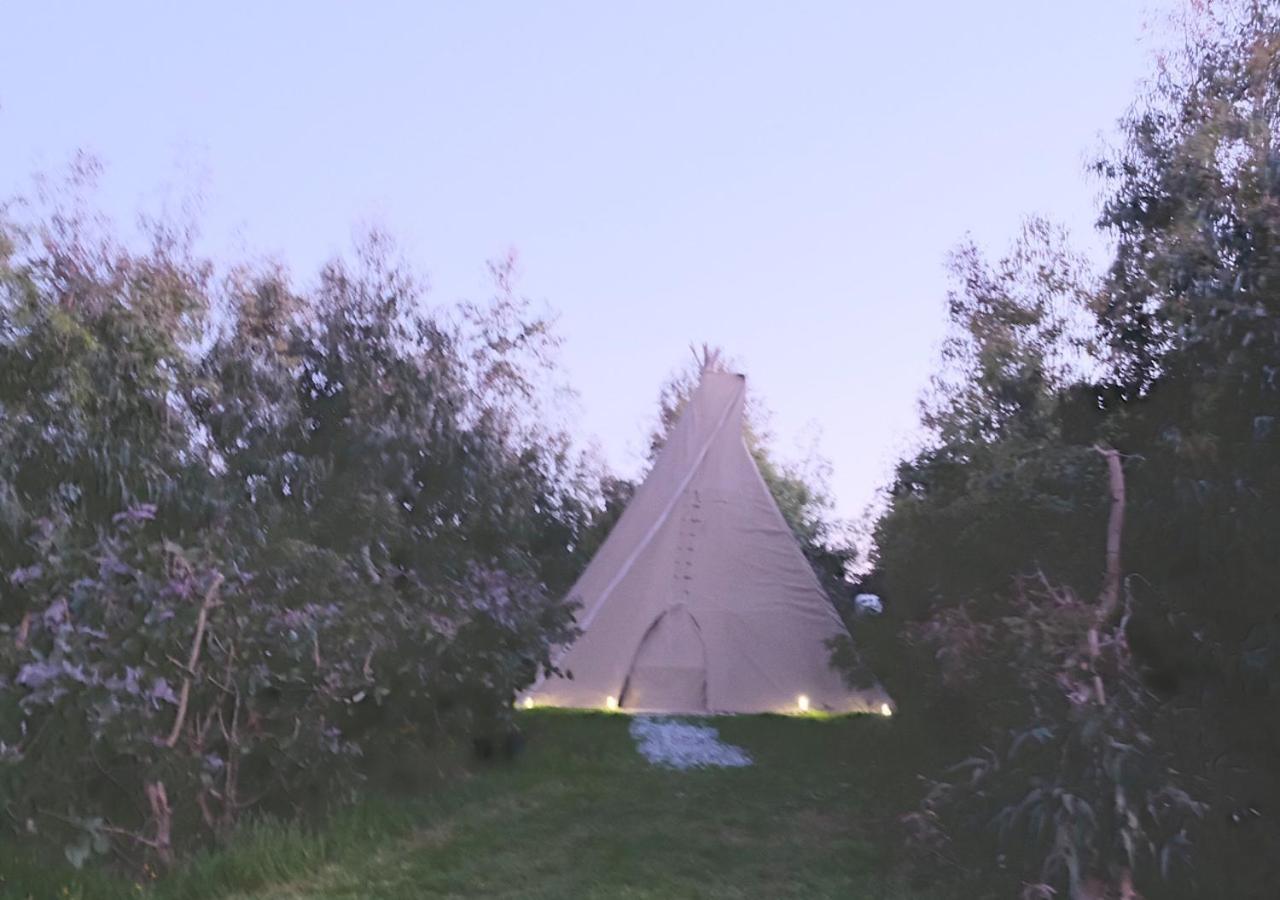 Готель Gumtree Tipis Bickington Екстер'єр фото