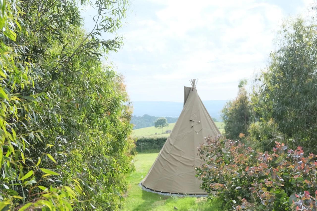 Готель Gumtree Tipis Bickington Екстер'єр фото